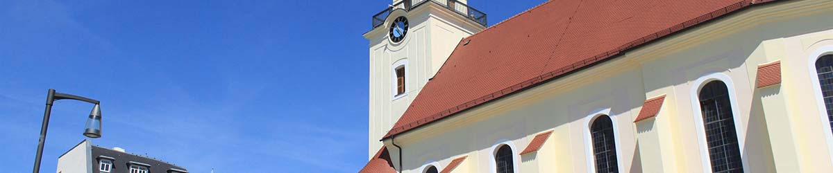 Stadtansicht Forst