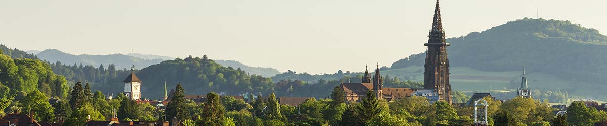 Stadtansicht Freiburg