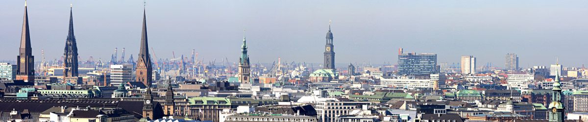 Blick über die Dächer von Hamburg