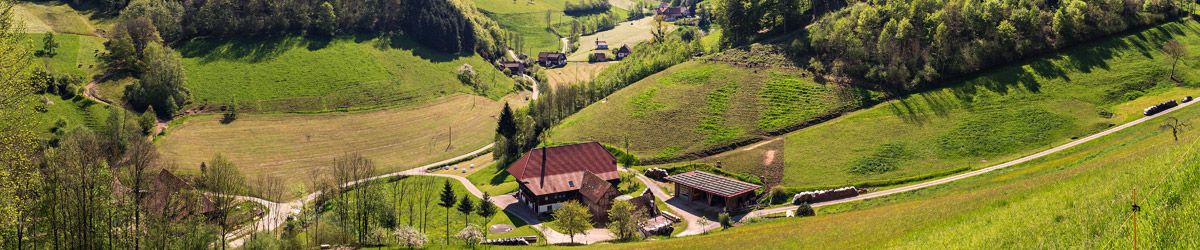 Landschaft im Schwarzwald