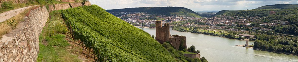 Fluss mit Burg und Weinberg