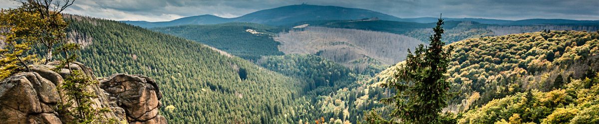 Felsen mit Blick ins Tal auf Wälder