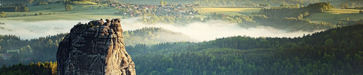 Elbsandsteingebirge mit Wald im Nebel
